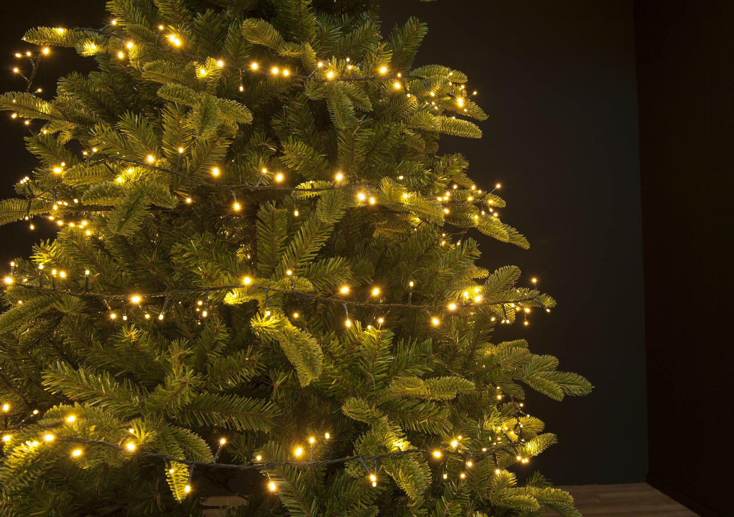 Kerstboom-verlichting