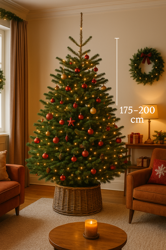 Nordmann Kerstboom – A-kwaliteit (175–200 cm)